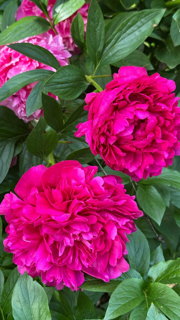 Гостиница Онега Васкелово-203