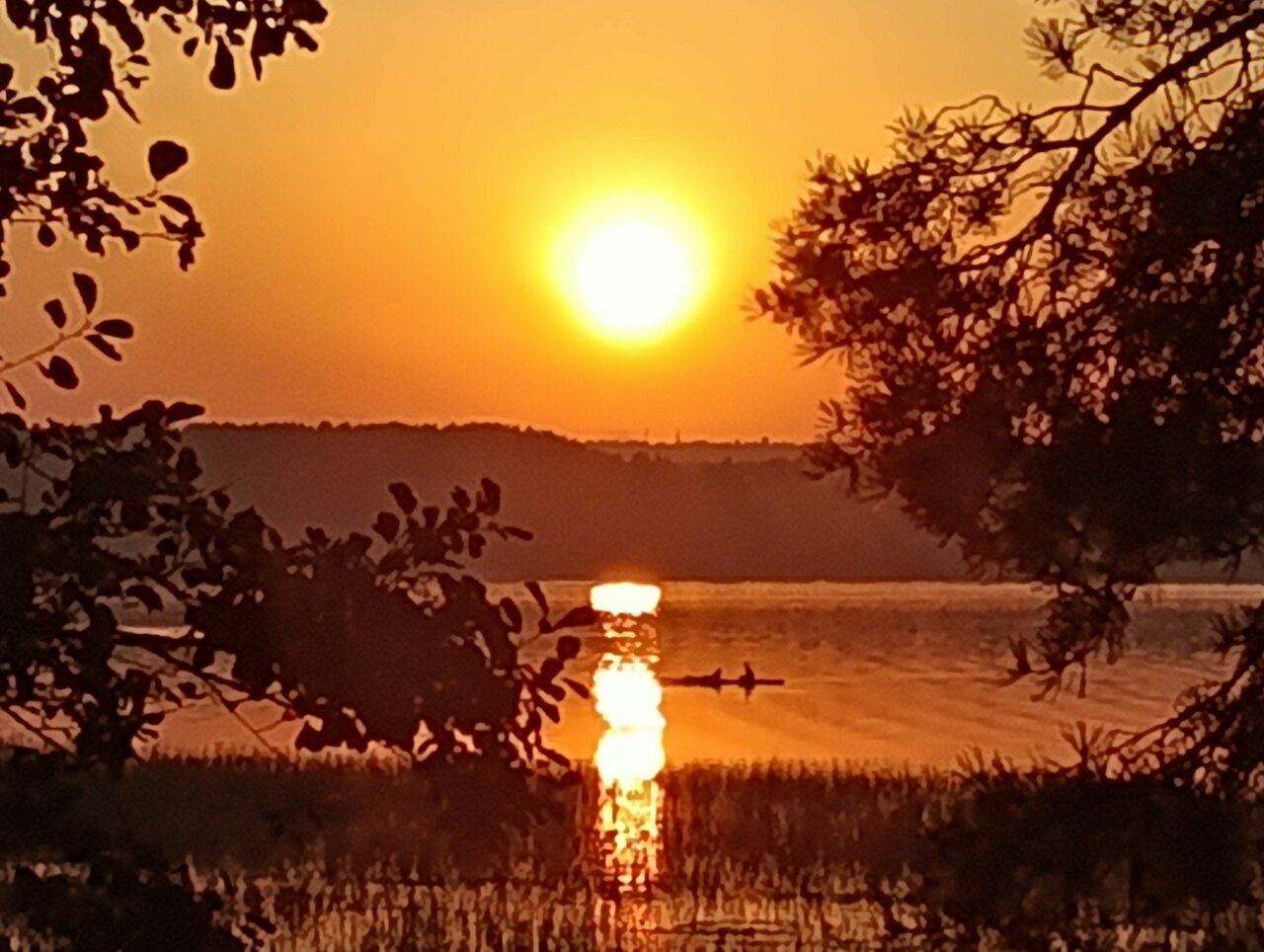 Гостиница Онега Васкелово-151