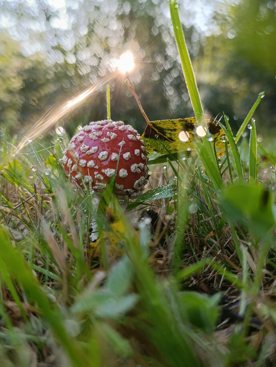 Гостиница Онега Васкелово-252