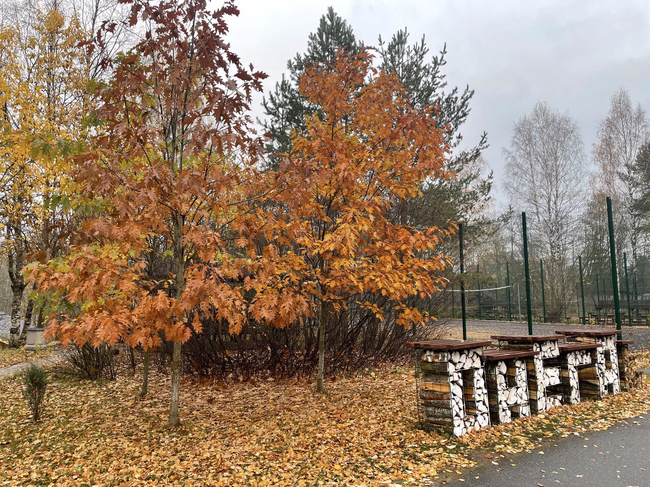 Гостиница Онега Васкелово-189