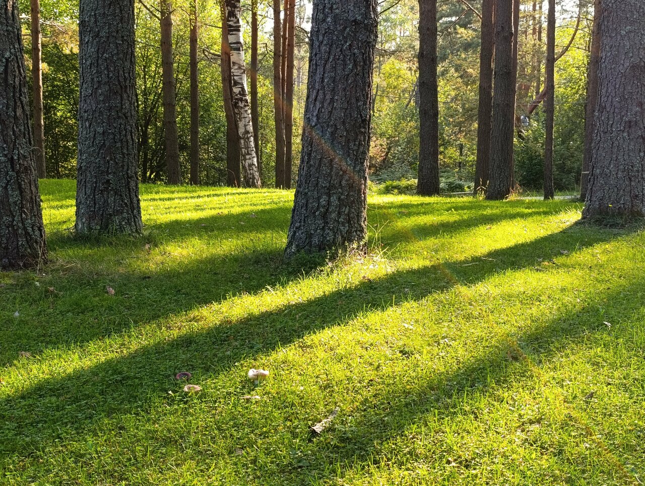 Гостиница Онега Васкелово-206