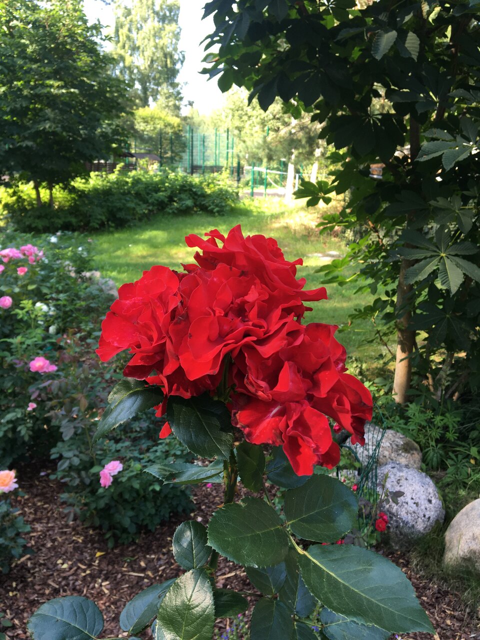 Гостиница Онега Васкелово-229