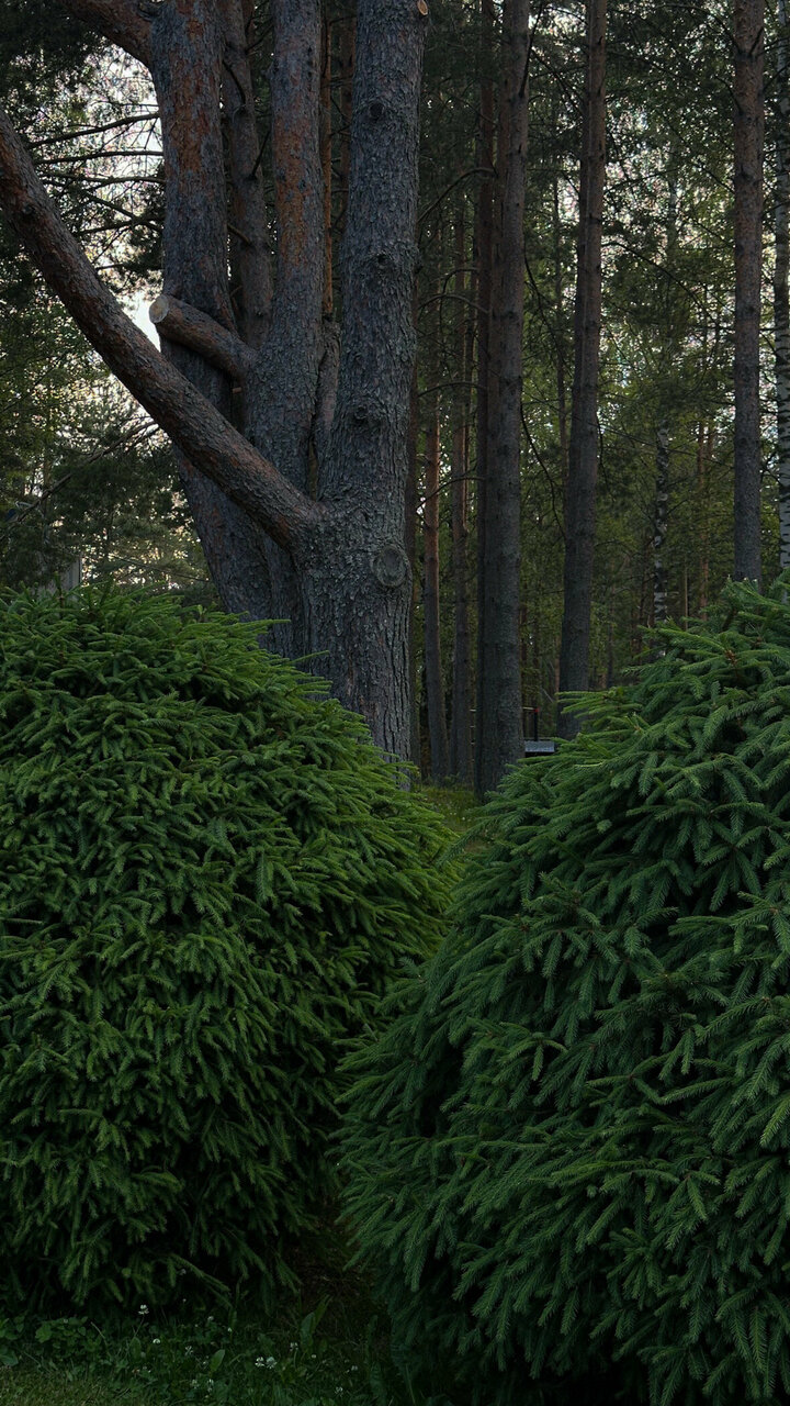 Гостиница Онега Васкелово-243