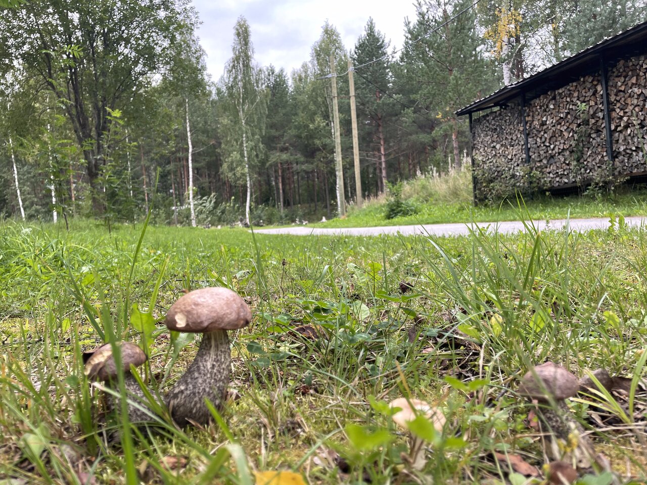 Гостиница Онега Васкелово-158