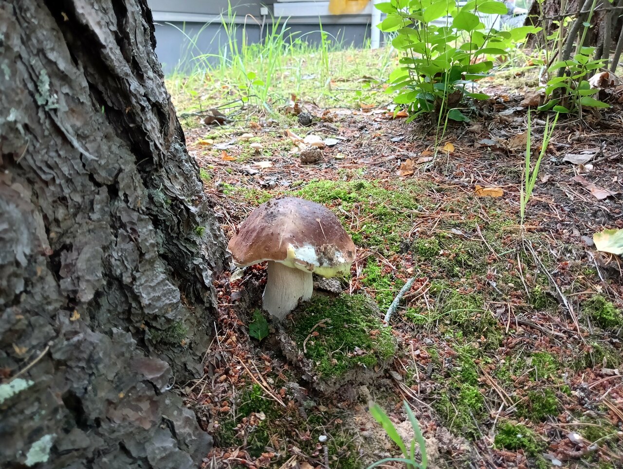 Гостиница Онега Васкелово-235