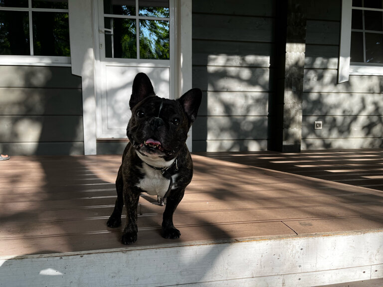 Гостиница Онега Васкелово-169