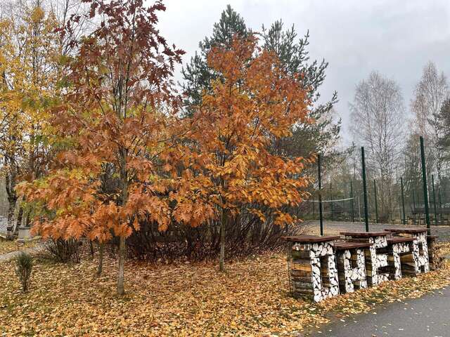 Гостиница Онега Васкелово-188