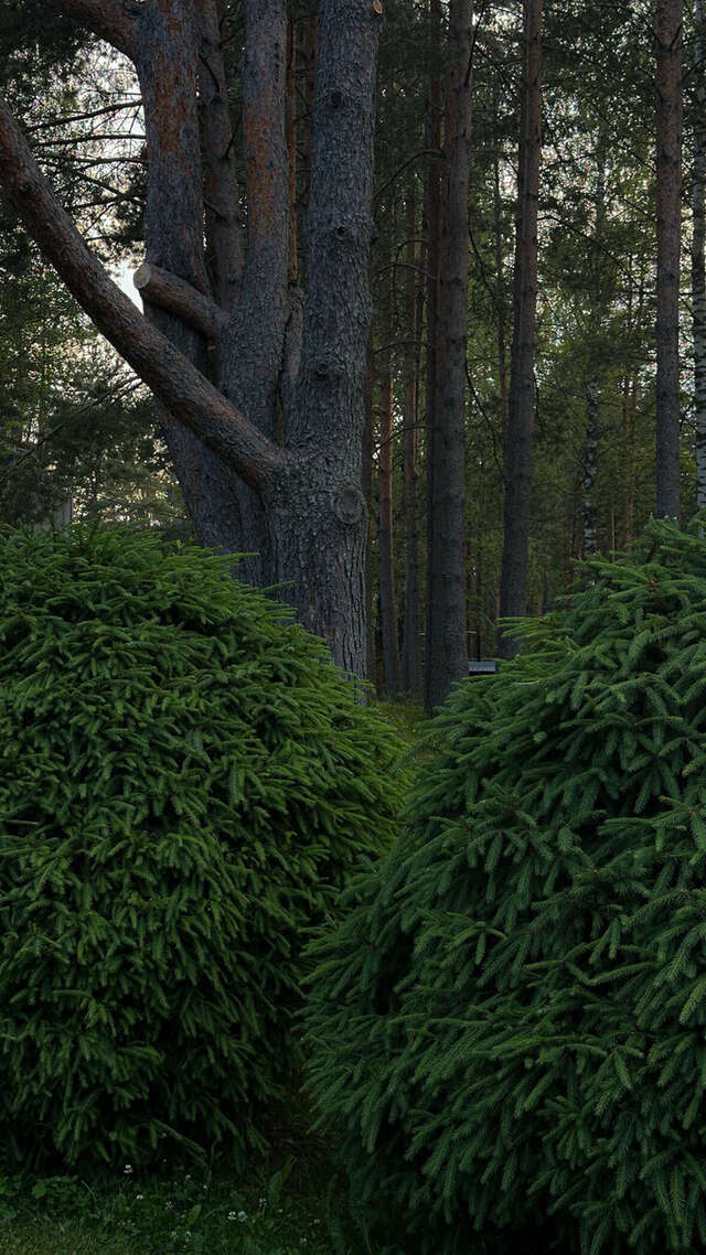 Гостиница Онега Васкелово-242