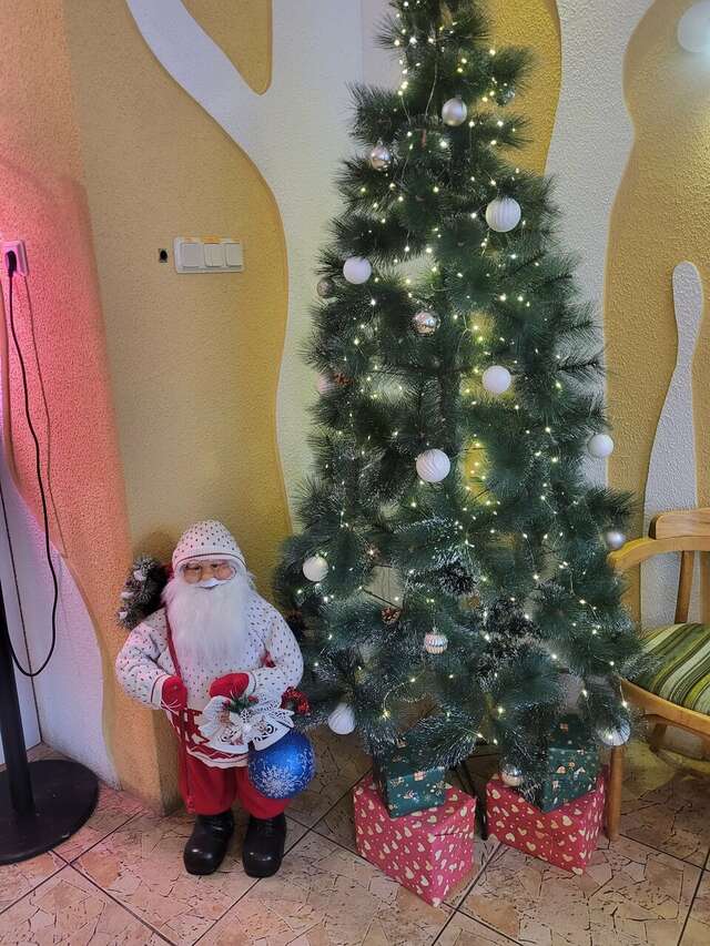 Гостиница Онега Васкелово-203