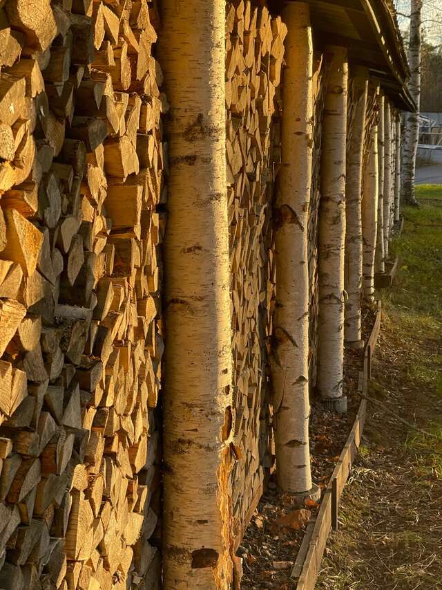 Гостиница Онега Васкелово-153