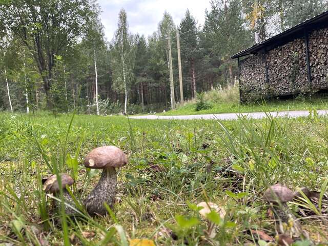 Гостиница Онега Васкелово-157