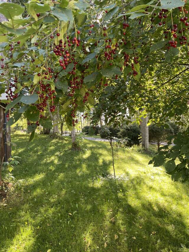 Гостиница Онега Васкелово-22