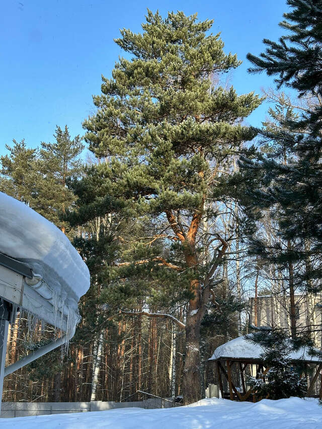 Гостиница Онега Васкелово-221