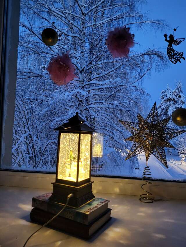 Гостиница Онега Васкелово-216