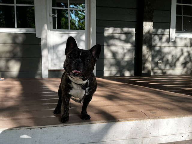 Гостиница Онега Васкелово-168