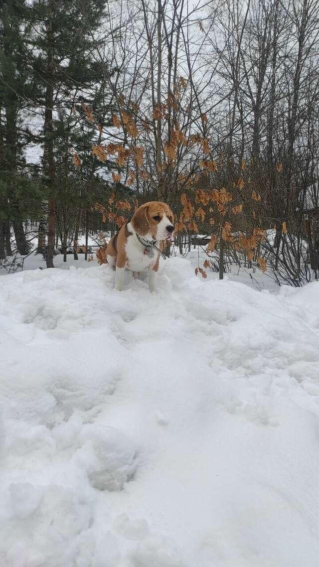 Гостиница Онега Васкелово-207