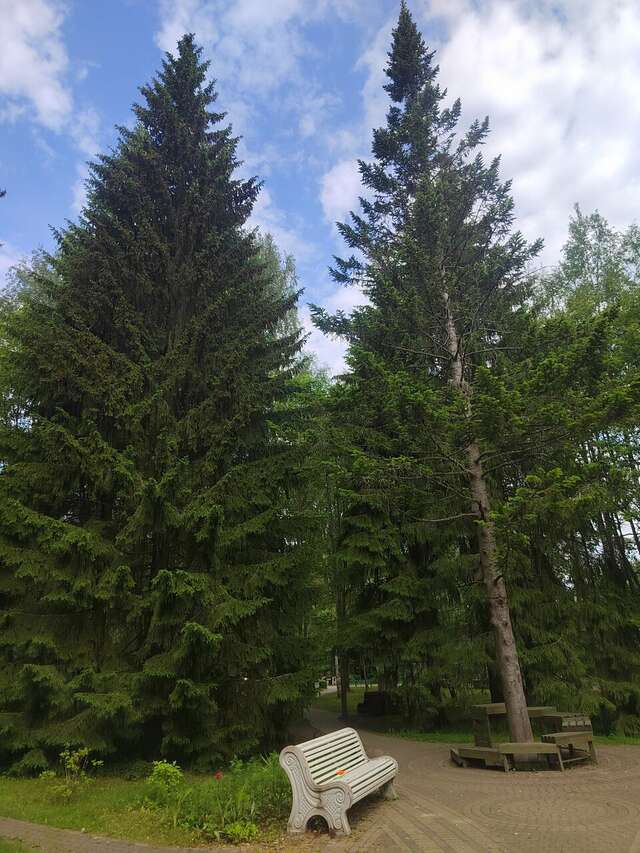 Гостиница Онега Васкелово-172